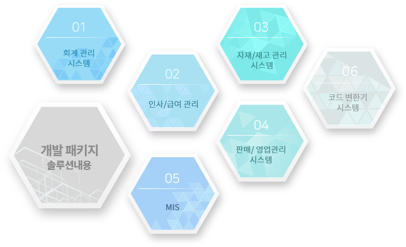 개발/패키지 보유현황 솔루션 내용